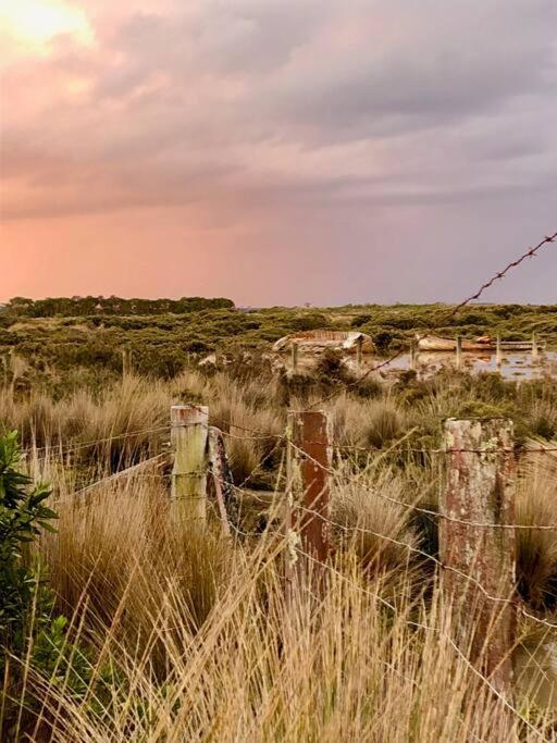 Windspray Cottage Порт Албърт Екстериор снимка